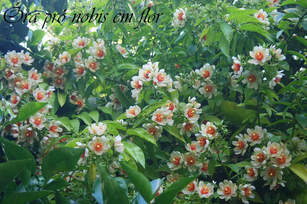 Fora De Casa Guest House Poa Porto Alegre Zewnętrze zdjęcie